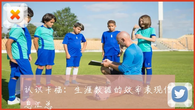 认识卡福：生涯数据的效率表现信息汇总