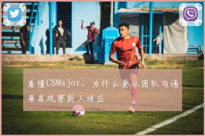 看懂CSMajor，为什么要从团队沟通角度观察新人适应